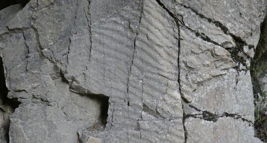 Ripple-marks (rides de courants) dans les quartzites de l'Argentière-la-Bessée